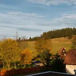 U Zlate Brizy Krusne Hory - Erzgebirge Apartment Horni Blatna