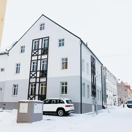 U Zlate Brizy Krusne Hory - Erzgebirge Apartment