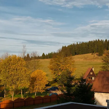 U Zlate Brizy Krusne Hory - Erzgebirge Apartment Horni Blatna