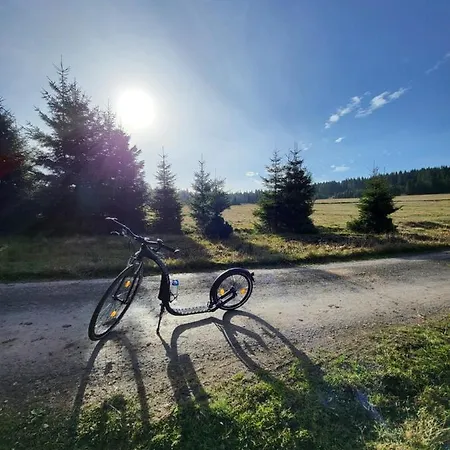 아파트 U Zlate Brizy Krusne Hory - Erzgebirge Horní Blatná
