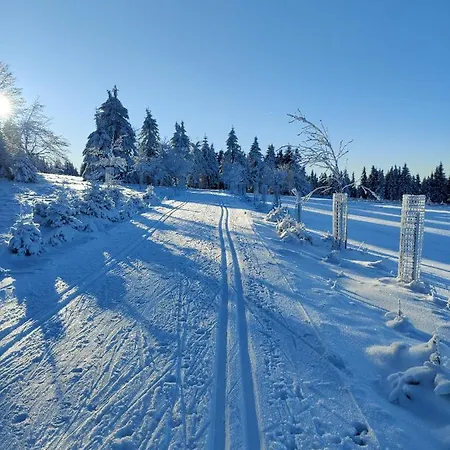 아파트 U Zlate Brizy Krusne Hory - Erzgebirge *