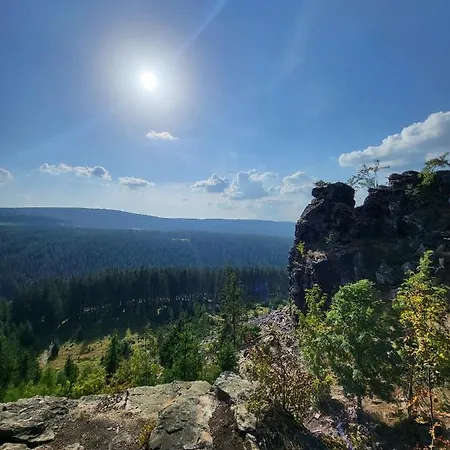 U Zlate Brizy Krusne Hory - Erzgebirge アパート Horní Blatná