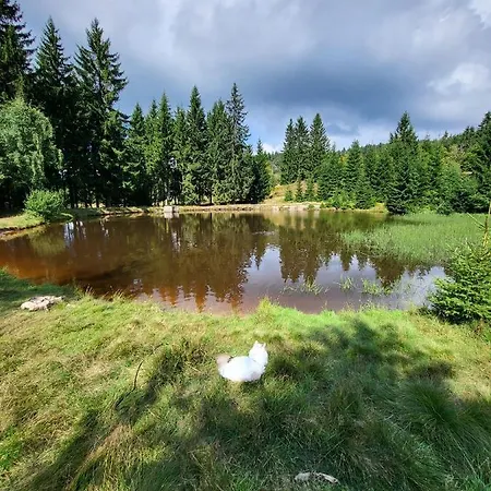 U Zlate Brizy Krusne Hory - Erzgebirge Διαμέρισμα Horní Blatná