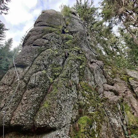 U Zlate Brizy Krusne Hory - Erzgebirge Διαμέρισμα