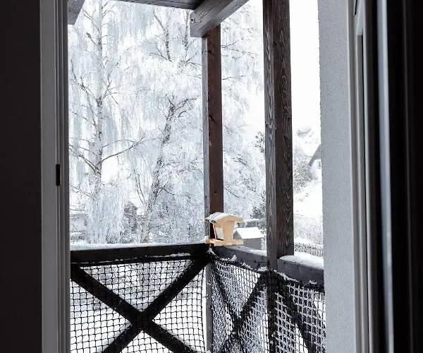 Lägenhet U Zlate Brizy Krusne Hory - Erzgebirge