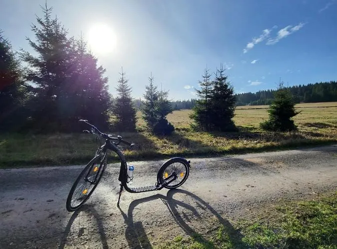 Lägenhet U Zlate Brizy Krusne Hory - Erzgebirge Horní Blatná