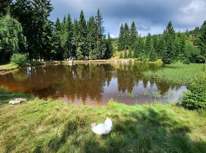 U Zlate Brizy Krusne Hory - Erzgebirge Lägenhet Horní Blatná