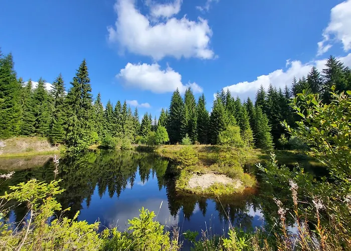 Lägenhet U Zlate Brizy Krusne Hory - Erzgebirge