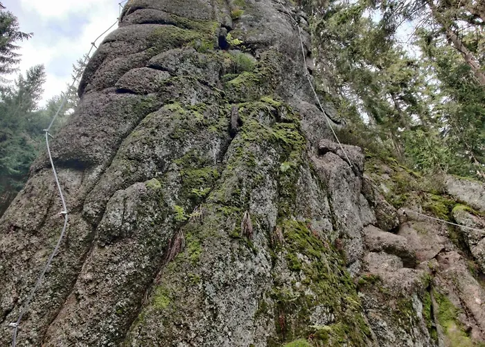 U Zlate Brizy Krusne Hory - Erzgebirge Lägenhet