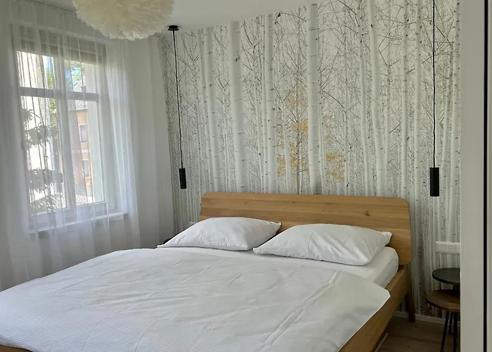Lägenhet U Zlate Brizy Krusne Hory - Erzgebirge