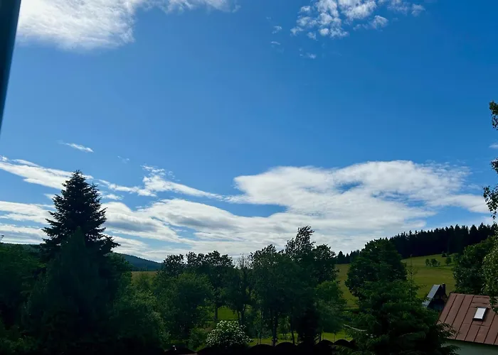 U Zlate Brizy Krusne Hory - Erzgebirge Lägenhet Horní Blatná